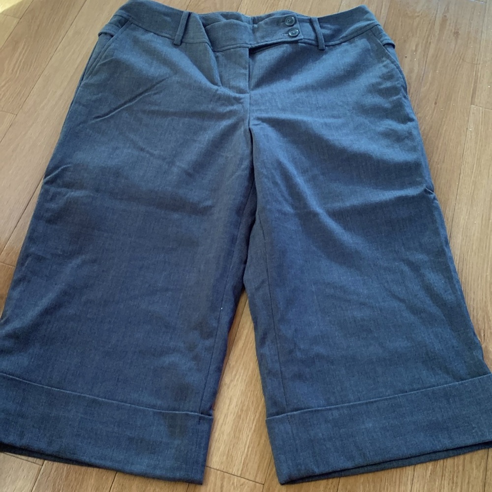 Ann Taylor capris